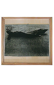 Joseph Beuys: Siebdruckplatte