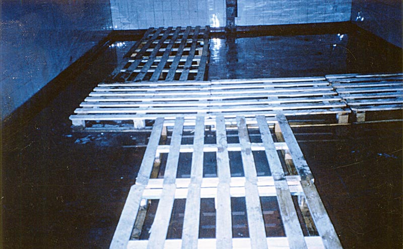 Kryptische Konzepte: Installation