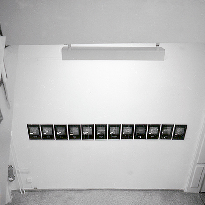 Kryptische Konzepte: Weltausbesserung